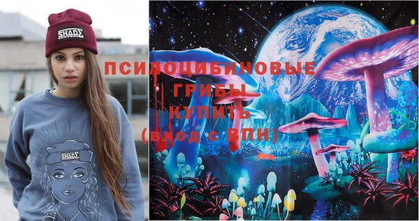 прущий лед Абаза