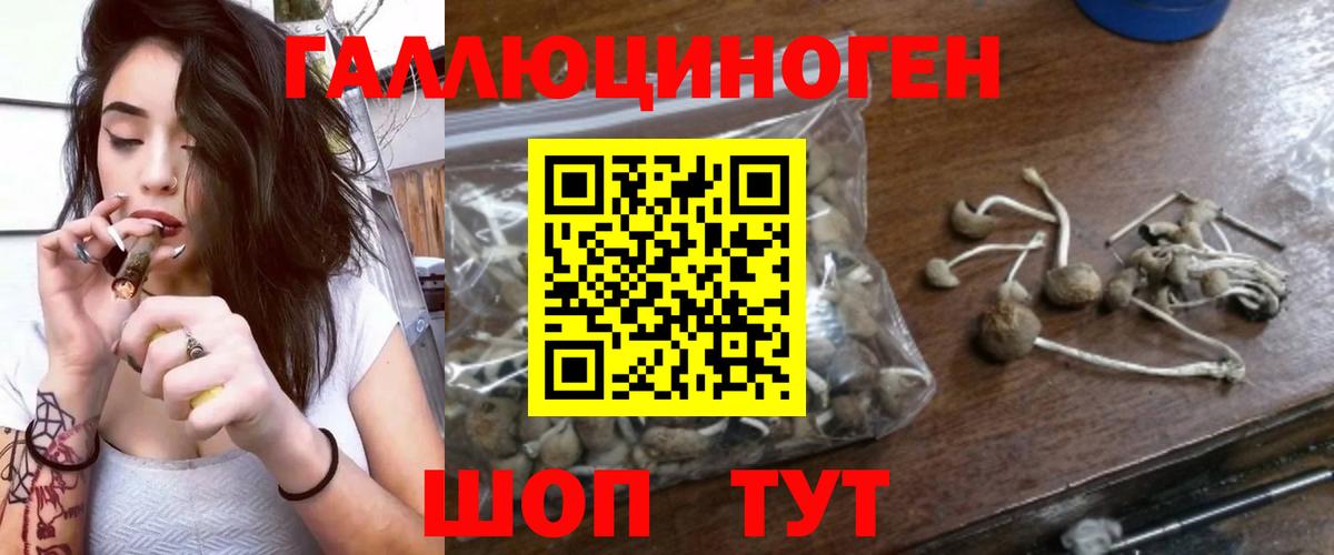Галлюциногенные грибы прущие грибы  Вход с VPN  Шали  Псилоцибиновые грибы Cubensis 